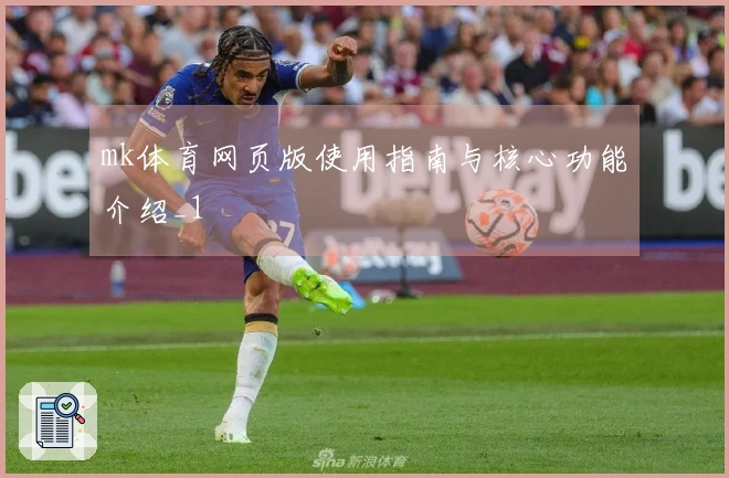 mk体育网页版使用指南与核心功能介绍_1